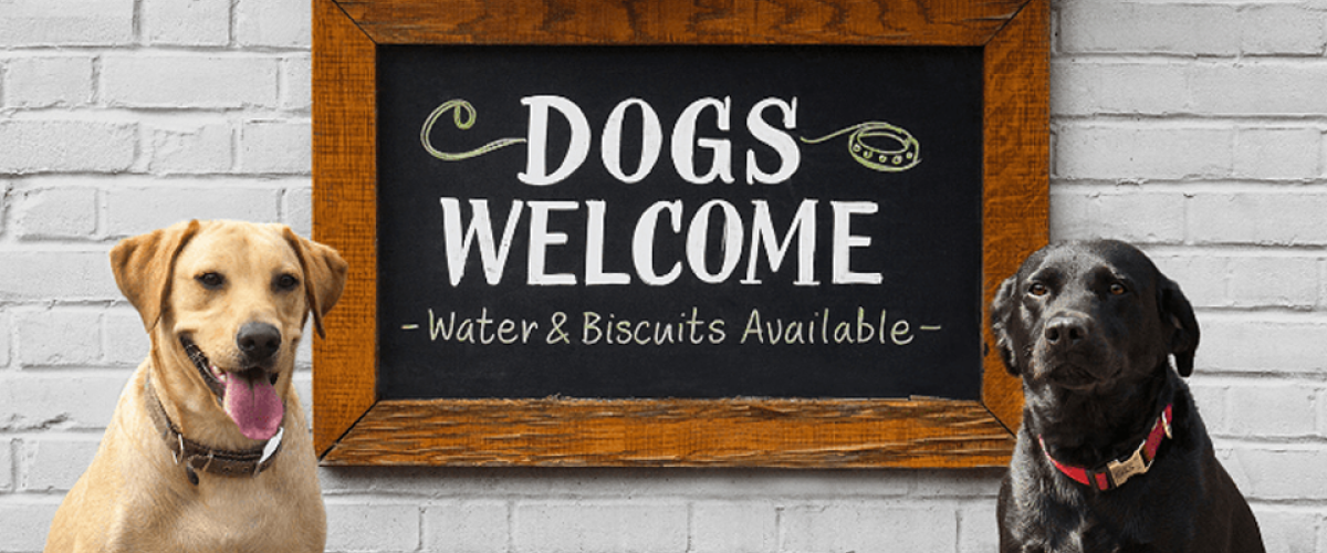 dog-friendly-pubs-near-me-dog-friendly-pub-etiquette-tanpub